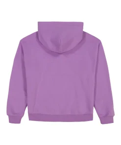 Avirex-USA-Script-Violet-Hoodies